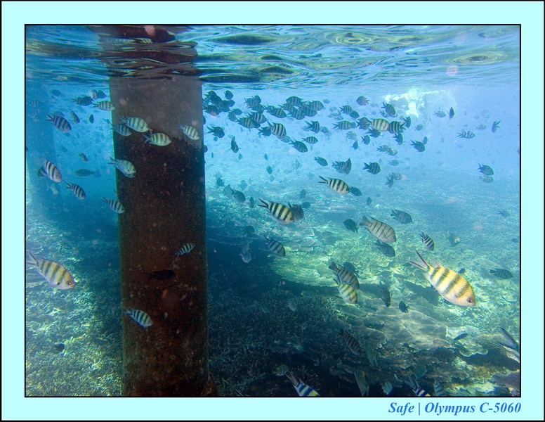 2008 - 07 - Redang - 052